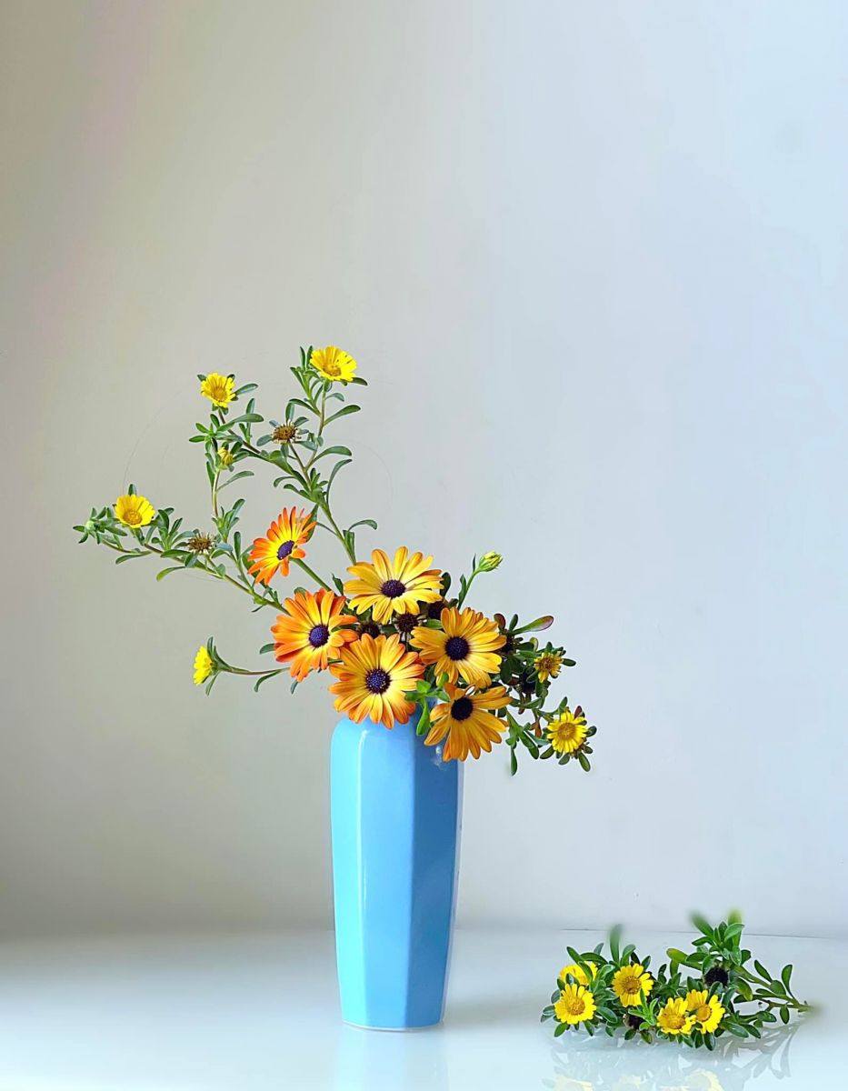 Tử vi ngày 24/6/2022 của 12 cung hoàng đạo